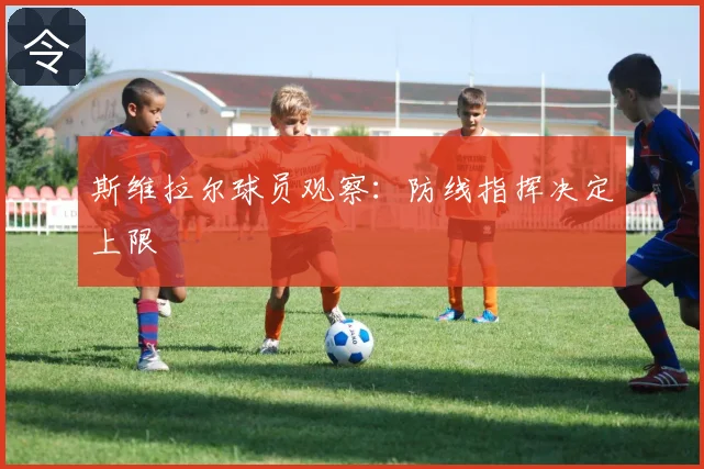 斯维拉尔球员观察:防线指挥决定上限